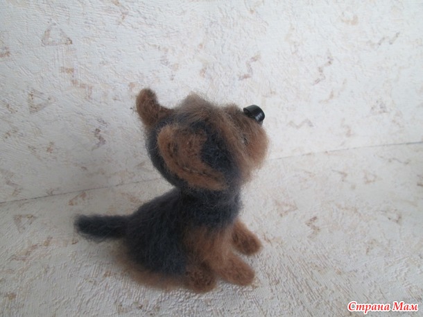 Мои йорки