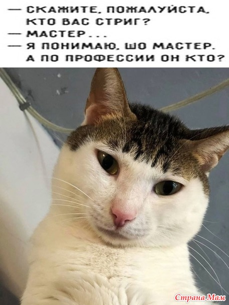   ?))