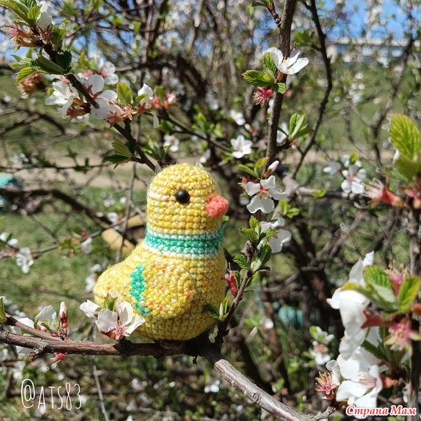 Птичка-невеличка. Жёлтый - яркий жизни цвет.