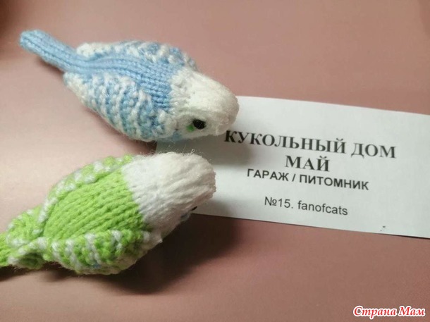 КУКОЛЬНЫЙ ДОМ. МАЙ. Волнистые попугайчики