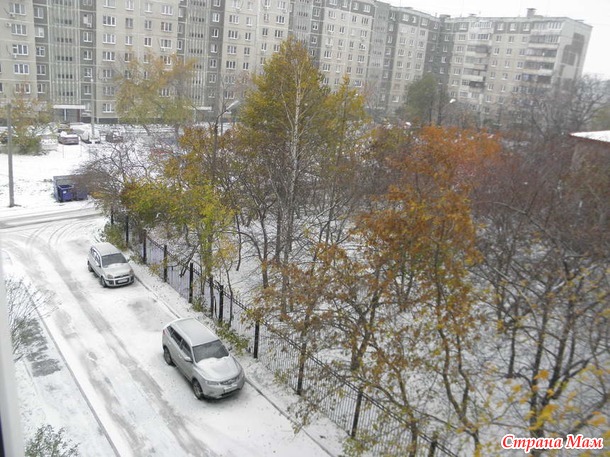 Посиделки на лавочке. Ноябрь.