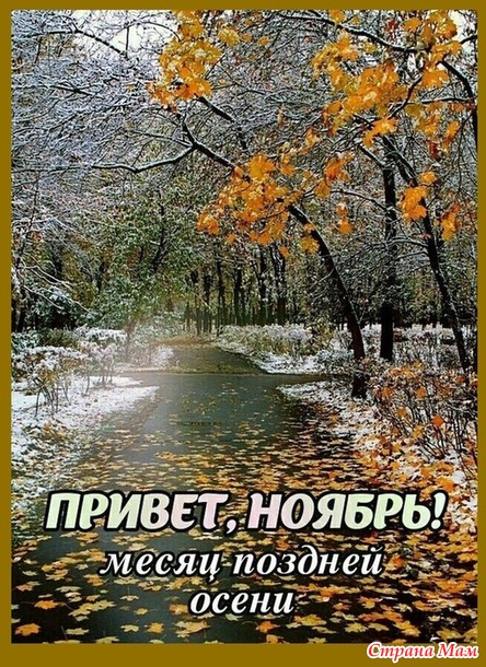 Посиделки на лавочке. Ноябрь.