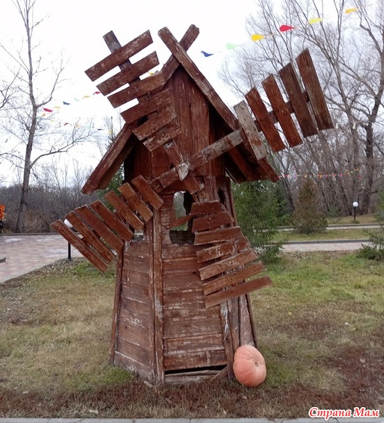Осень Цой и Хеллоуин