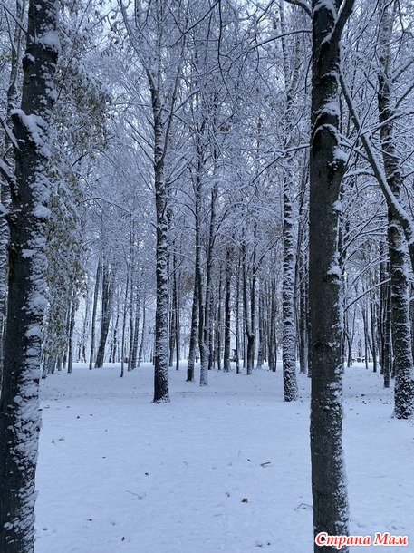 Беременность мозга