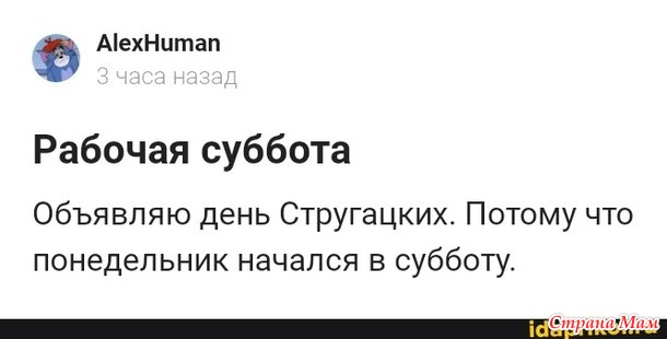 На злобу дня