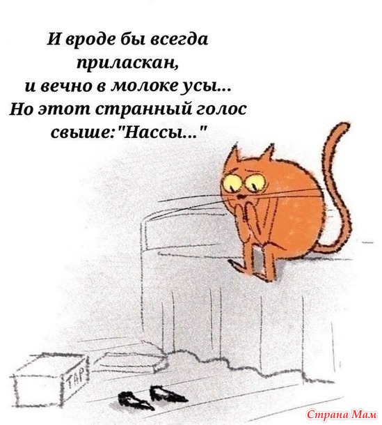   ))