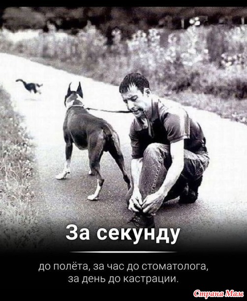   ))