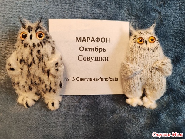 Отчет по Марафону 2024-ОКТЯБРЬ (совушки)