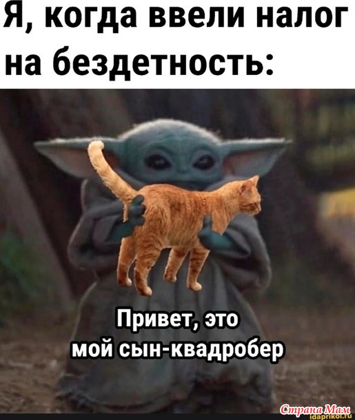 ...  ...