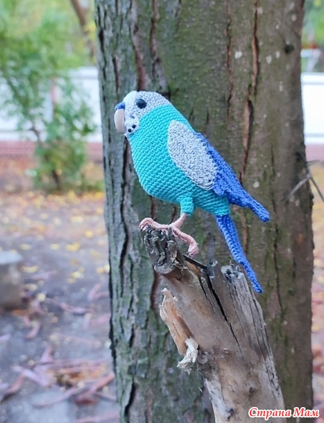 Птички