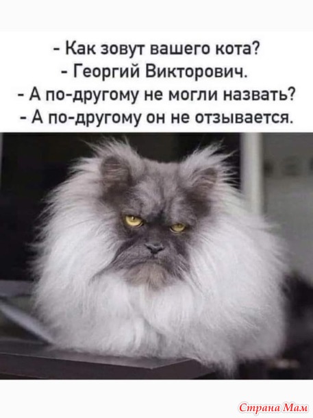     ?))
