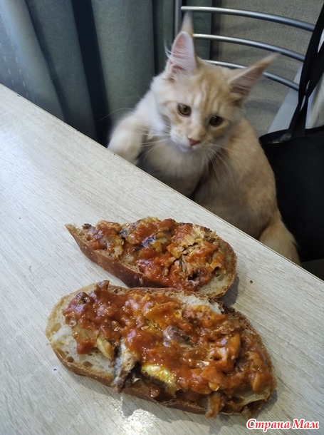 Наконец то у меня получился хлеб на закваске.