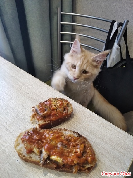Наконец то у меня получился хлеб на закваске.