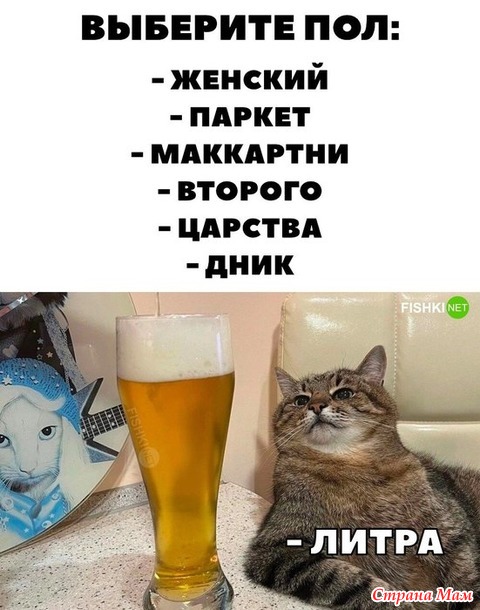  ))