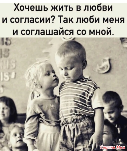   ))