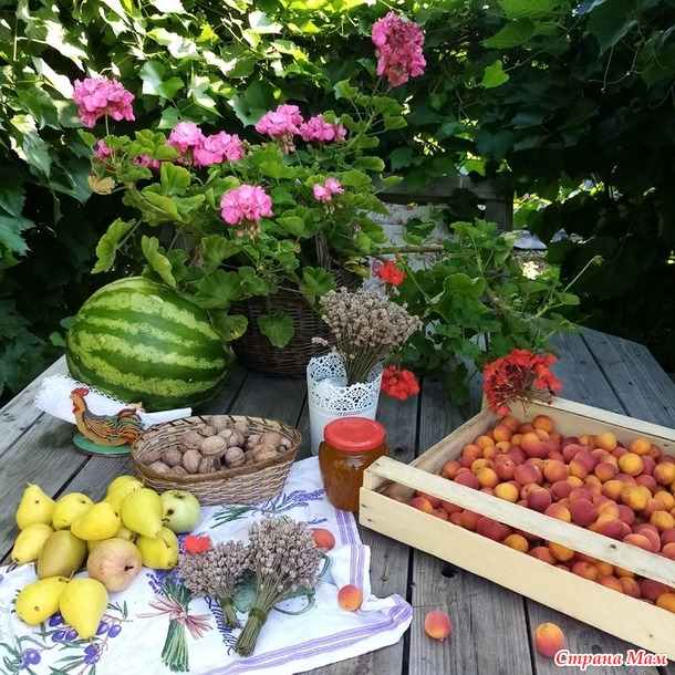 Про сельскую жизнь