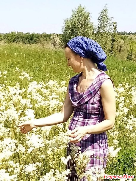 Про сельскую жизнь