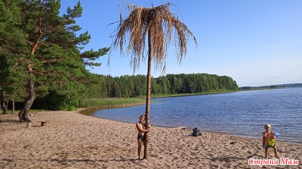 Всего понемногу о нас.