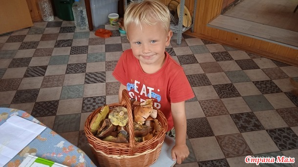 Всего понемногу о нас.