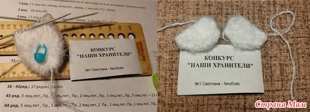 Отчет на конкурс "НАШИ ХРАНИТЕЛИ" Пеликан