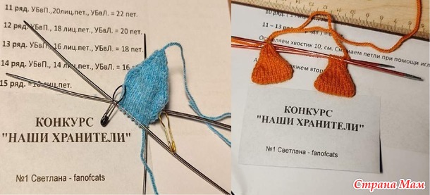 Отчет на конкурс "НАШИ ХРАНИТЕЛИ" Пеликан