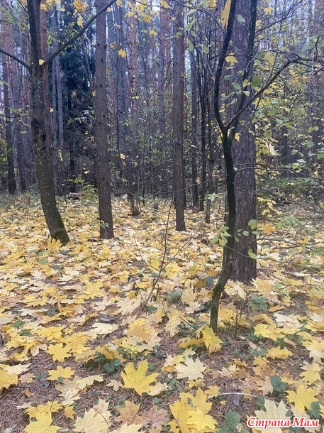 О прошедшей неделе