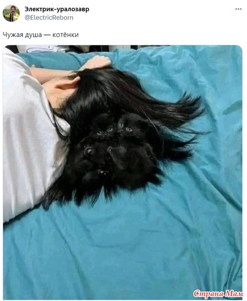  ?))