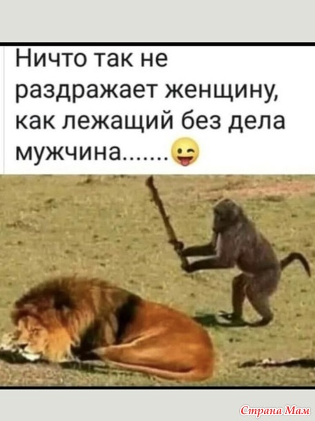   ))