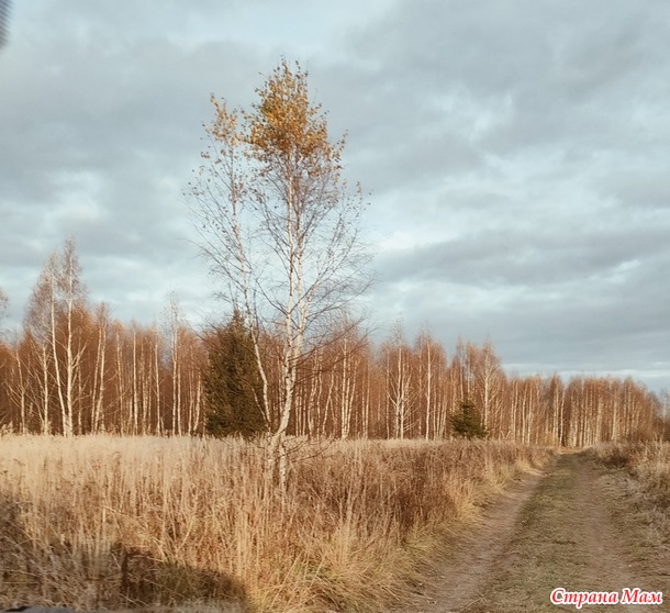 Золотая осень похоже закончилась.