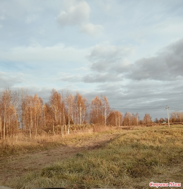 Золотая осень похоже закончилась.