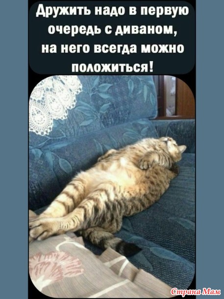  ))
