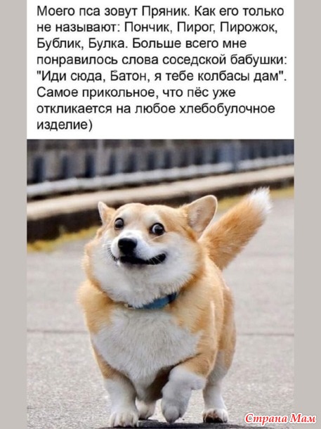 ))