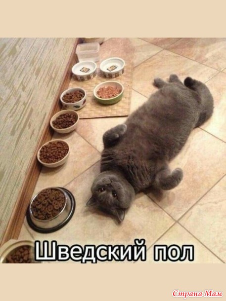     )