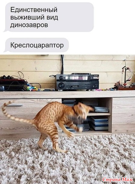    !))