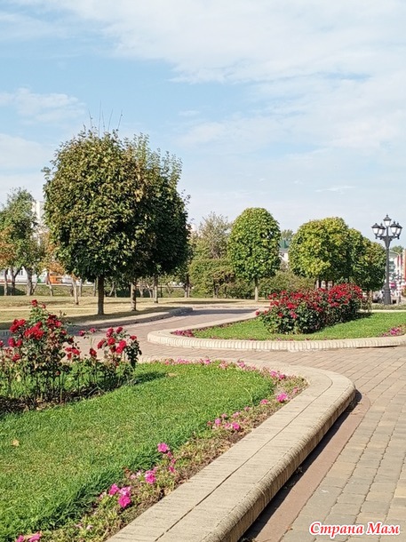 Просто прогулка по парку.