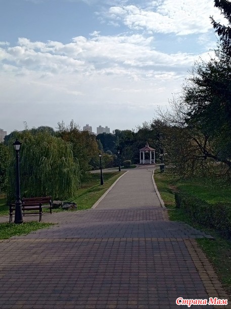 Просто прогулка по парку.