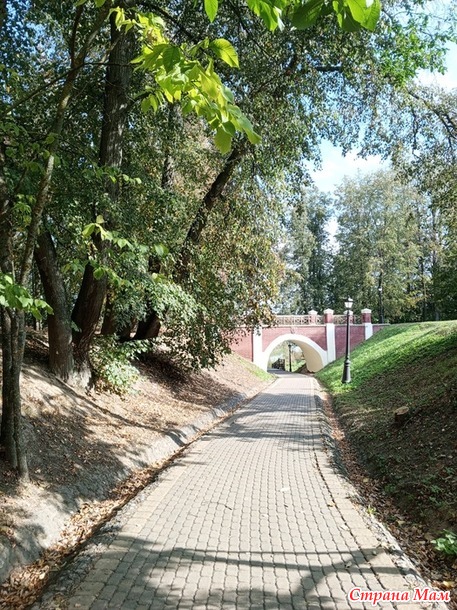 Просто прогулка по парку.