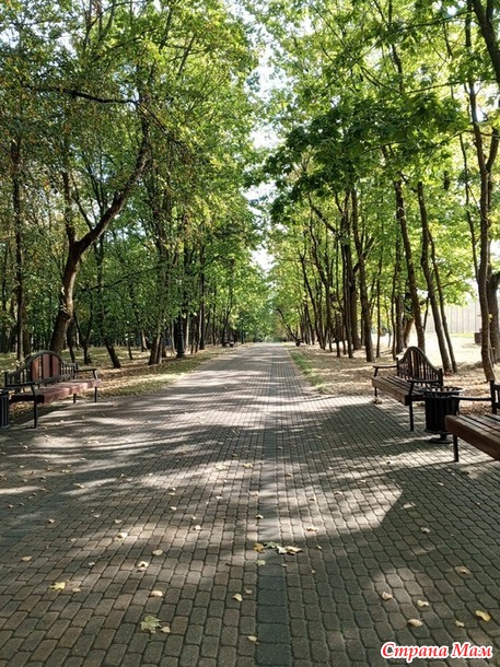 Просто прогулка по парку.