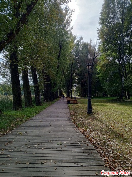 Просто прогулка по парку.