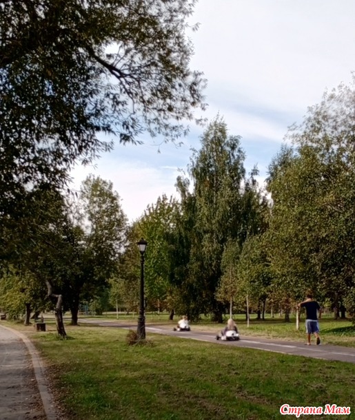 Просто прогулка по парку.