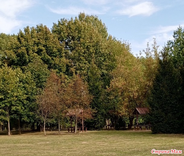 Просто прогулка по парку.