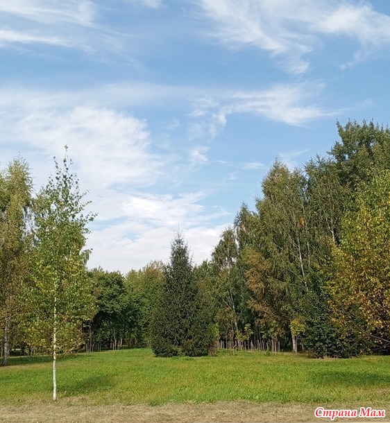 Просто прогулка по парку.