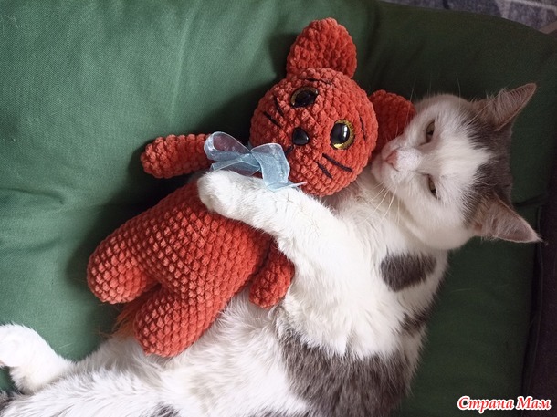 Домовёнок -3. Сентябрь. Котик