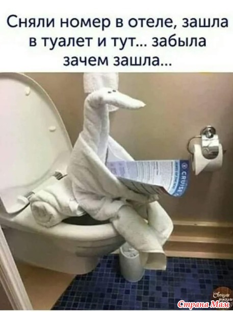 ,   ))