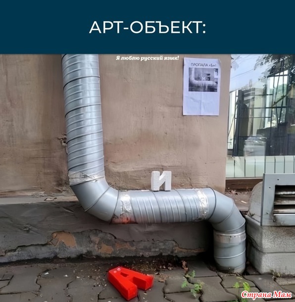      ))