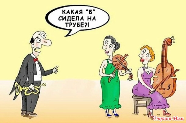      ))