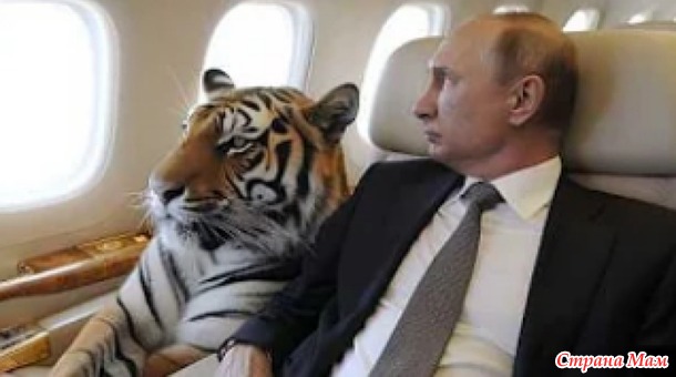 Свидание вслепую.