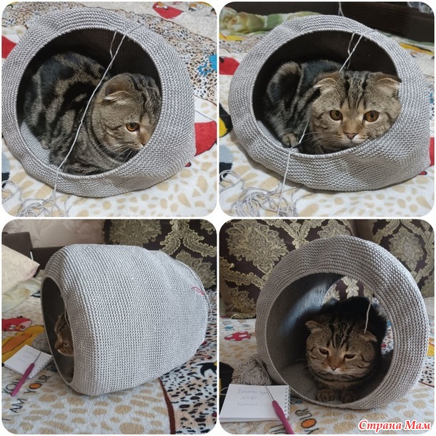 Времена года. Март. Домик для кота.
