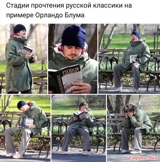     ))