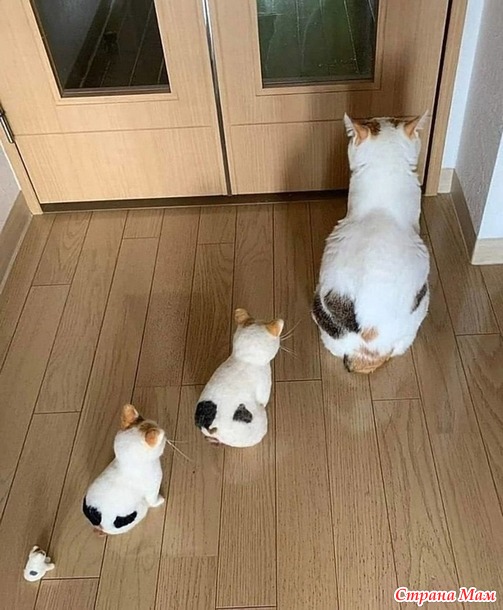    ))